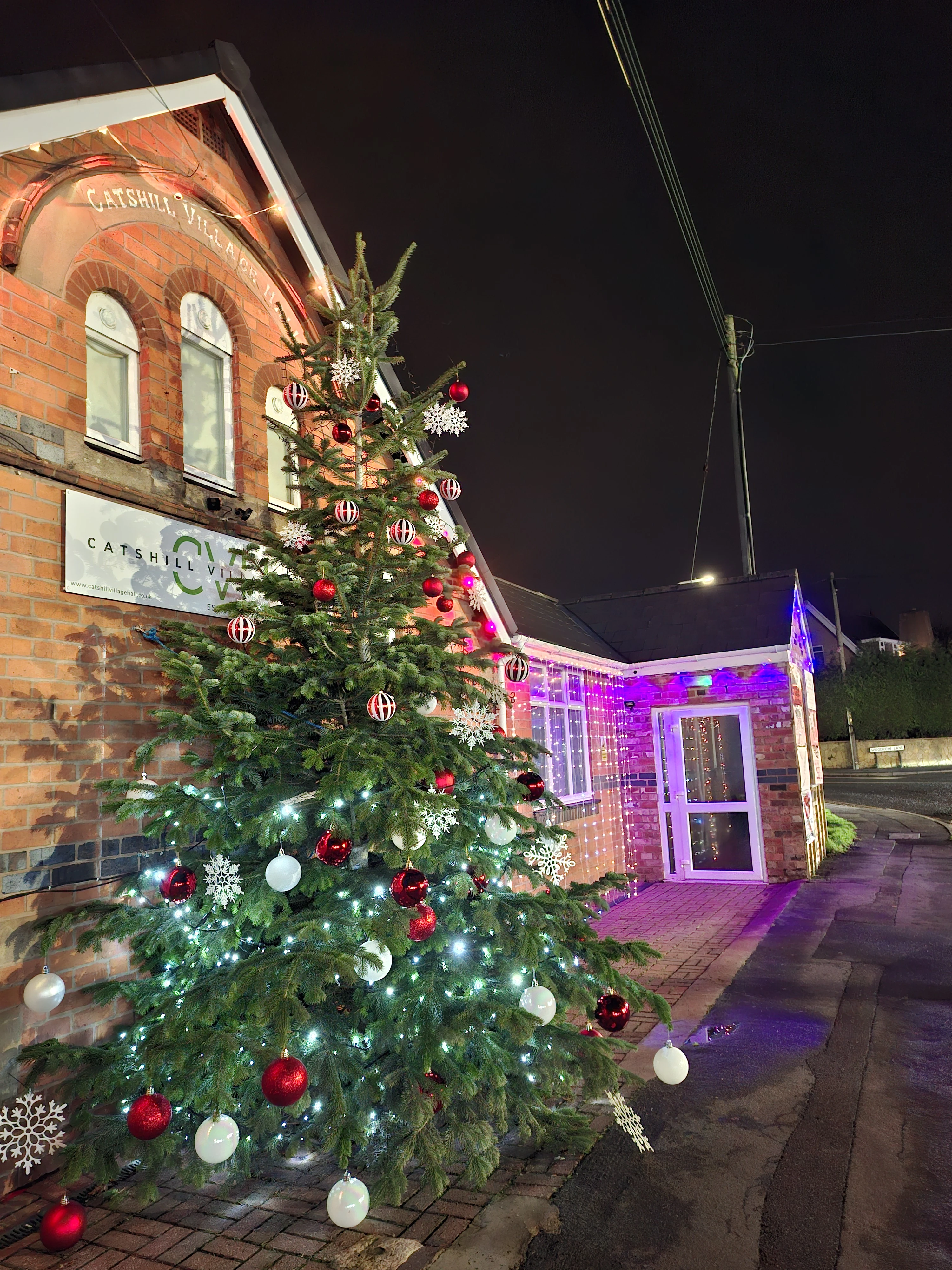 Catshill Village Christmas Tree